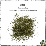 Rue Herb for Protection, Creativity, Green Witch Living