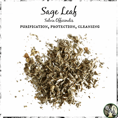 Sage Leaf Herb, Green Witch Living