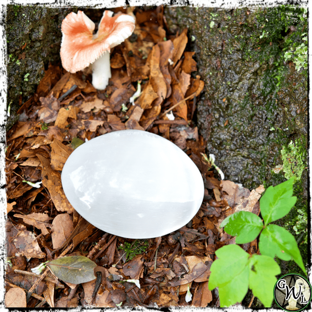 Selenite Palm Stone, Crystal, Green Witch Living