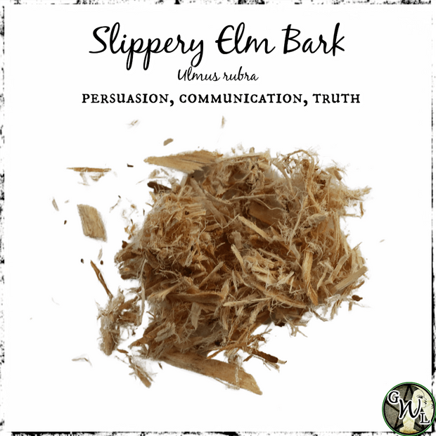Slippery Elm Bark for Witches, Green Witch Living