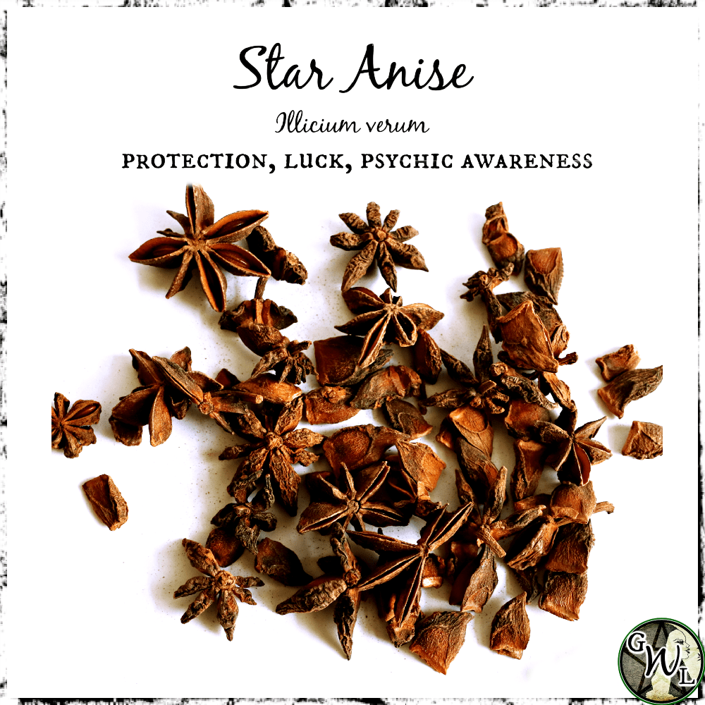 Physical Herb Pages Sage Sandalwood Sea Salt Star Anise Witches