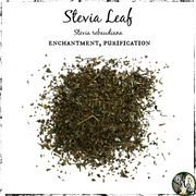 Stevia Leaf Herb for Witches, Green Witch Living