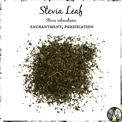 Stevia Leaf Herb for Witches, Green Witch Living