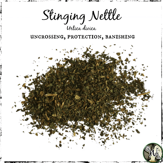 Nettle Leaf for protection, banishing, green witch living