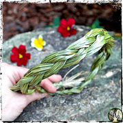 Sweetgrass Herb Wand, Smudge Bundle, Green Witch Living