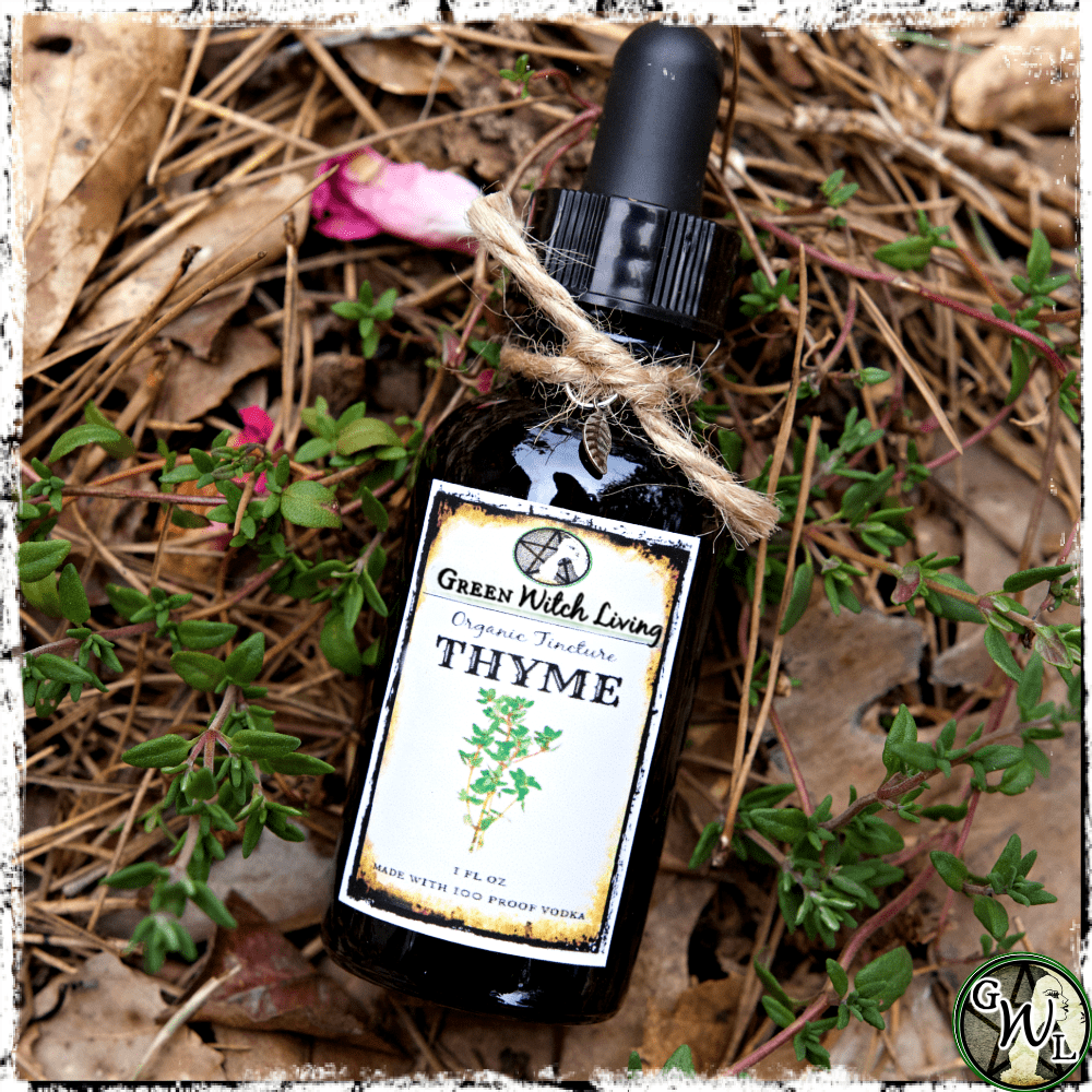 Thyme Herbal Tincture Organic Extract Thymus Vulgaris   GWLThymeTincture Min 1800x1800 