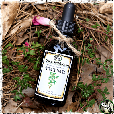 Thyme Tincture | Green Witch Living