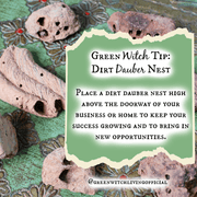 Dirt Dauber Nest, Pipe Organ Wasp Nest | Persuasion, Success, Family