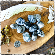 Tumbled Tree Agate Crystal for Witches, Altar Decor, Green Witch Living