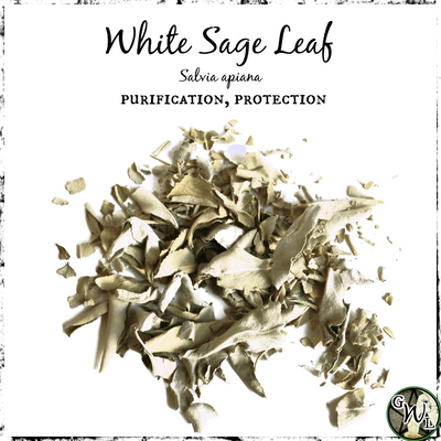 Dried White Sage Leaf, Green Witch Living