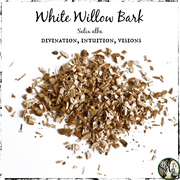 White Willow Bark Herb, Green Witch Living