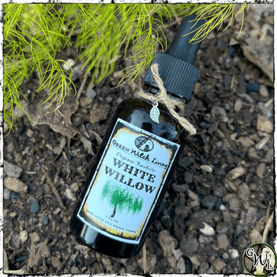 White Willow Bark Tincture, Extract | Green Witch Living
