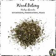 Wood Betony Herb, Green Witch Living