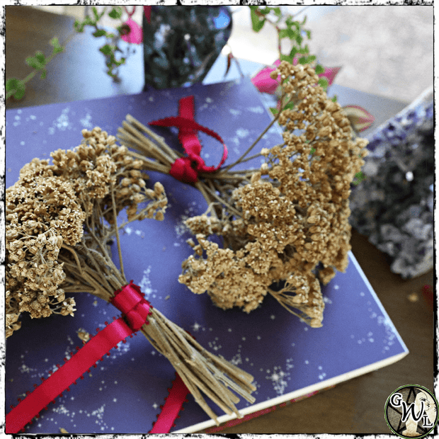 Yarrow Flower Herb Bouquet | Green Witch Altar Decor, Protection