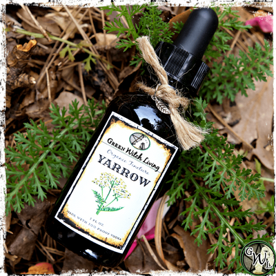 Organic Yarrow Herbal Tincture, Green Witch Living