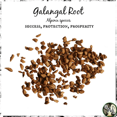 Galangal Root, Organic | Success, Protection, Prosperity