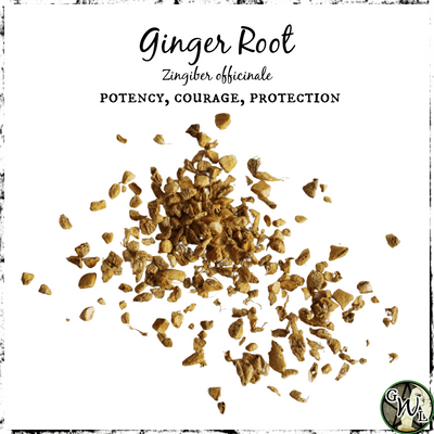 Ginger Root, Organic | Potency, Courage, Protection