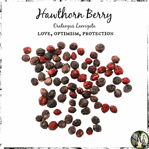 Hawthorn Berries, Organic | Love, Optimism, Protection