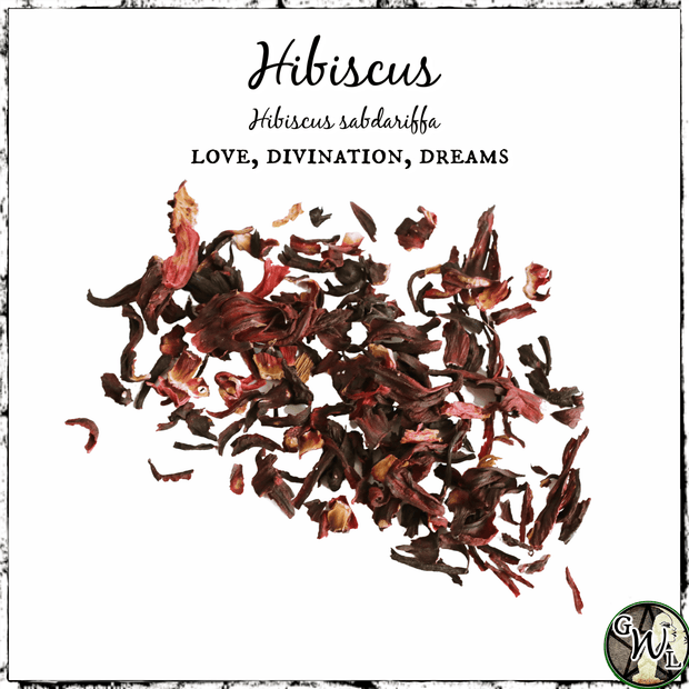 Hibiscus Flowers, Organic | Love, Divination, Dreams