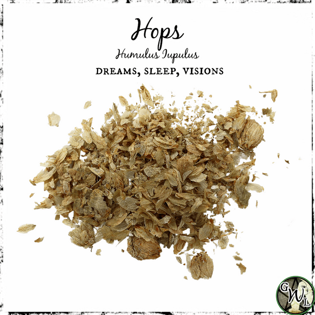 Hops Flowers, Organic | Dreams, Sleep, Visions