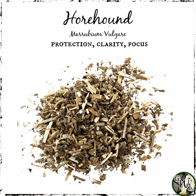 Horehound, Organic | Protection, Clarity, Focus