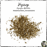 Hyssop, Organic | Purification, Uncrossing