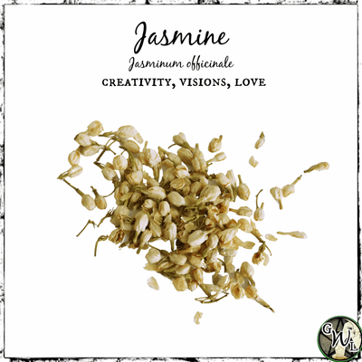Jasmine Flowers, Organic | Creativity, Visions, Love