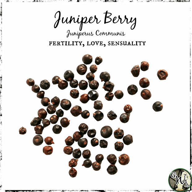 Juniper Berries, Organic | Fertility, Love, Sensuality