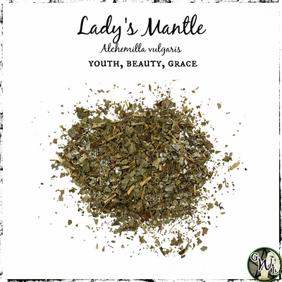 Lady's Mantle, Organic | Youth, Beauty, Grace