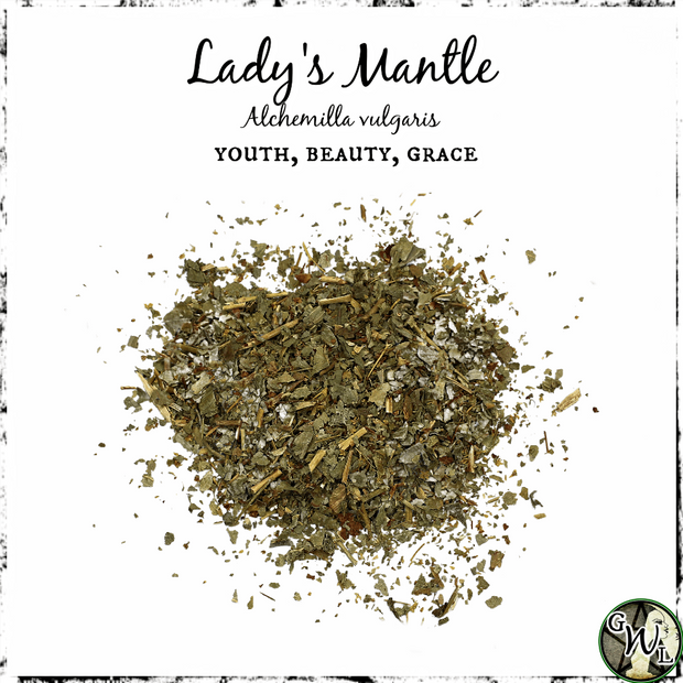 Lady's Mantle, Organic Herb | Choose 4 oz or 1/2 lb | Youth, Beauty, Grace