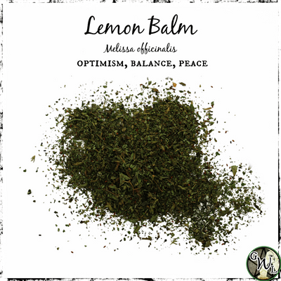Lemon Balm, Organic | Optimism, Balance, Peace
