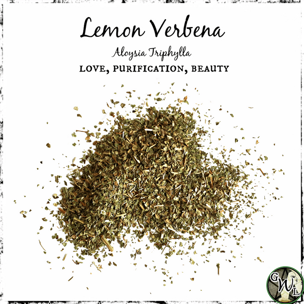 Lemon Verbena, Organic | Love, Purification, Beauty