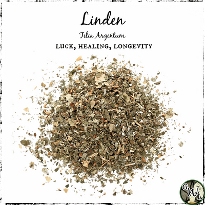 Linden Flowers, Organic | Luck, Healing, Longevity