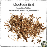 Mandrake Root, Organic | Protection, Fertility, Prosperity