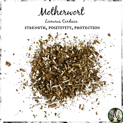 Motherwort, Organic | Strength, Positivity, Protection