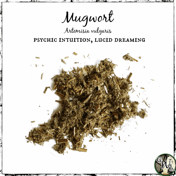 Dried Mugwort Herb, Divination, Psychic Intuition, Lucid Dreams, Green Witch Living