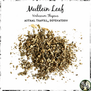 Mullein Leaf, Organic | Astral Travel, Divination