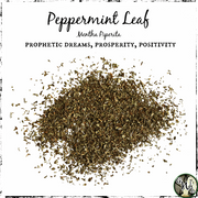 Peppermint Leaf, Organic | Prophetic Dreams, Prosperity, Positivity