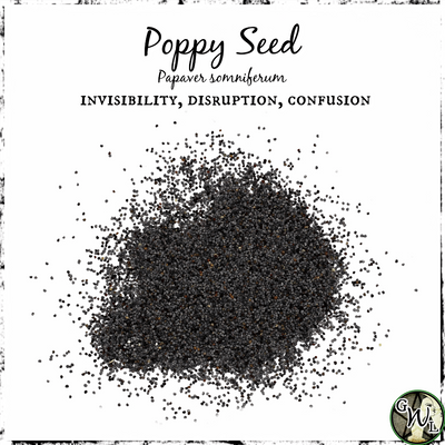 Poppy Seeds, Organic | Shifting the Energy Flow