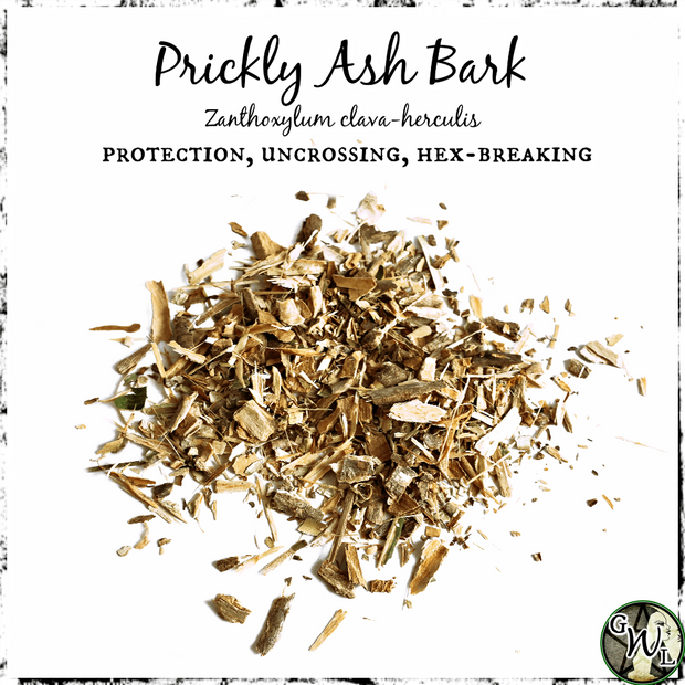 Prickly Ash Bark Herb for Protection, Uncrossing, Hex Breaking, Green Witch Living